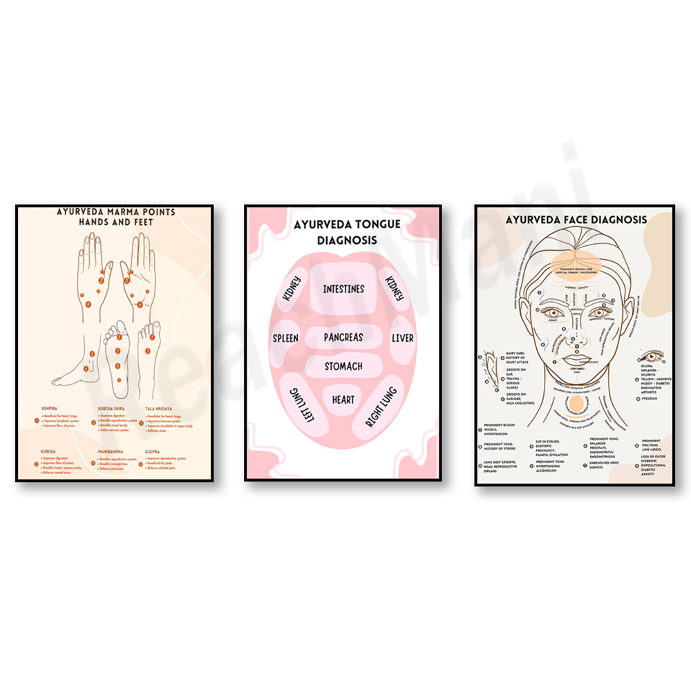 Аюрведическая диаграмма энерги – обзор и цена Ayurvedic & Herbal Wellness Kits